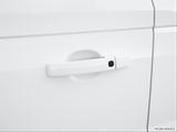  Drivers Side Door handle photo